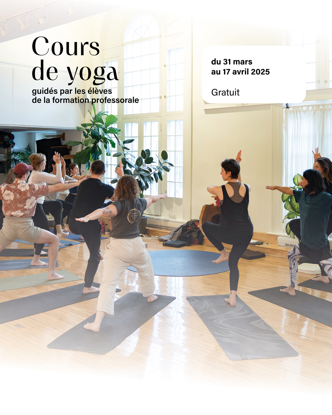 cours gratuits de yoga Montréal élèves de la formation professorale de yoga 2024-2025 studio de yoga Zéro Gravité escalade et yoga